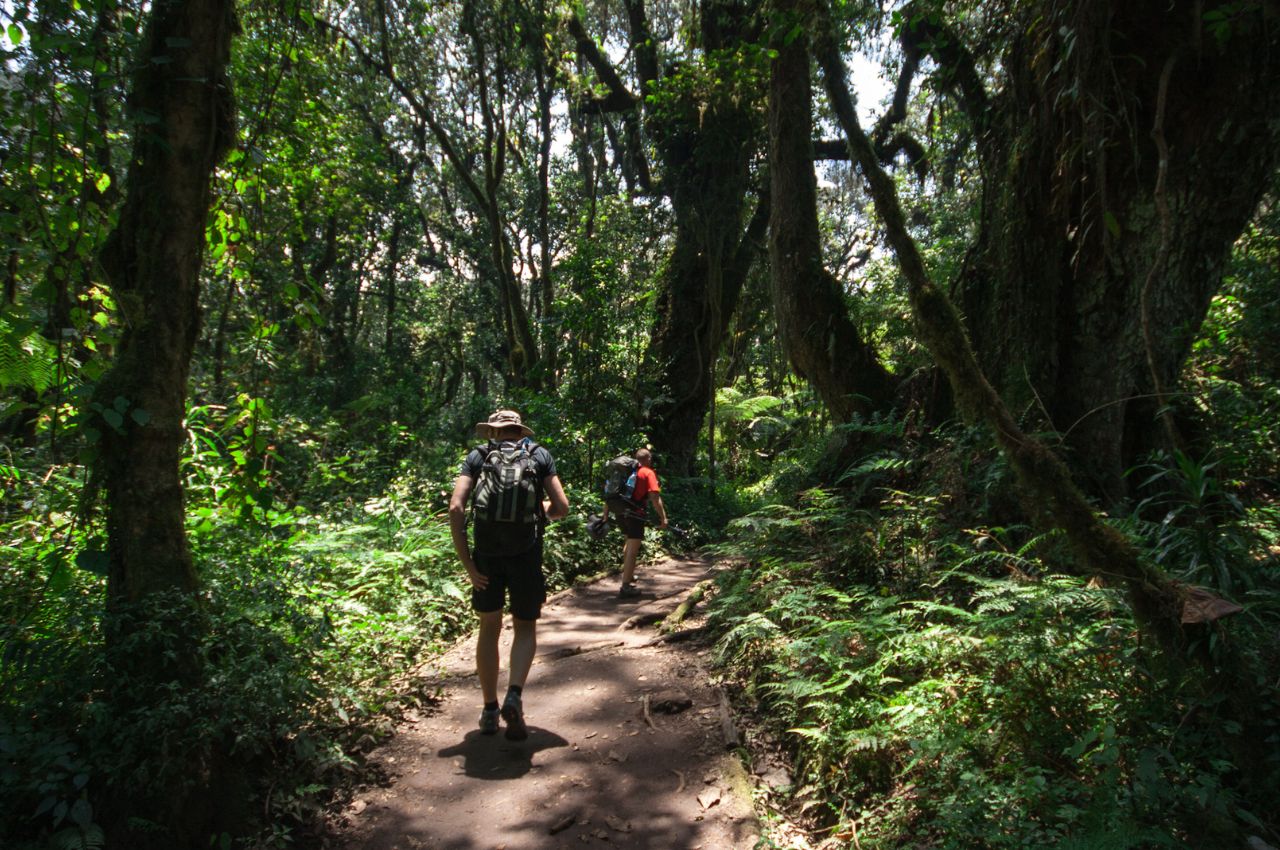 2 Day Kilimanjaro Trekking Marangu Route