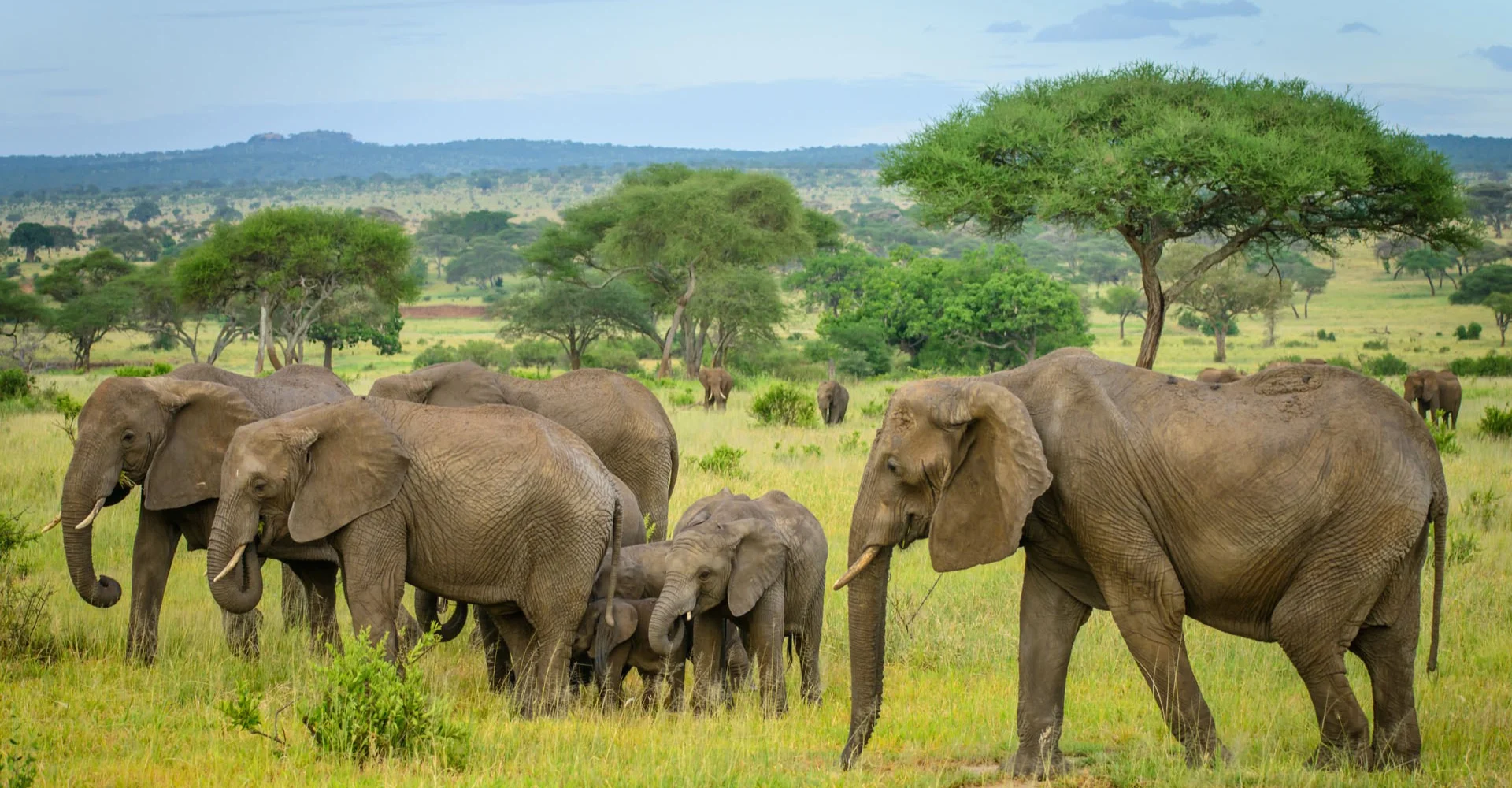 2 Days Tanzania Safari to Tarangire and Ngorongoro Crater 