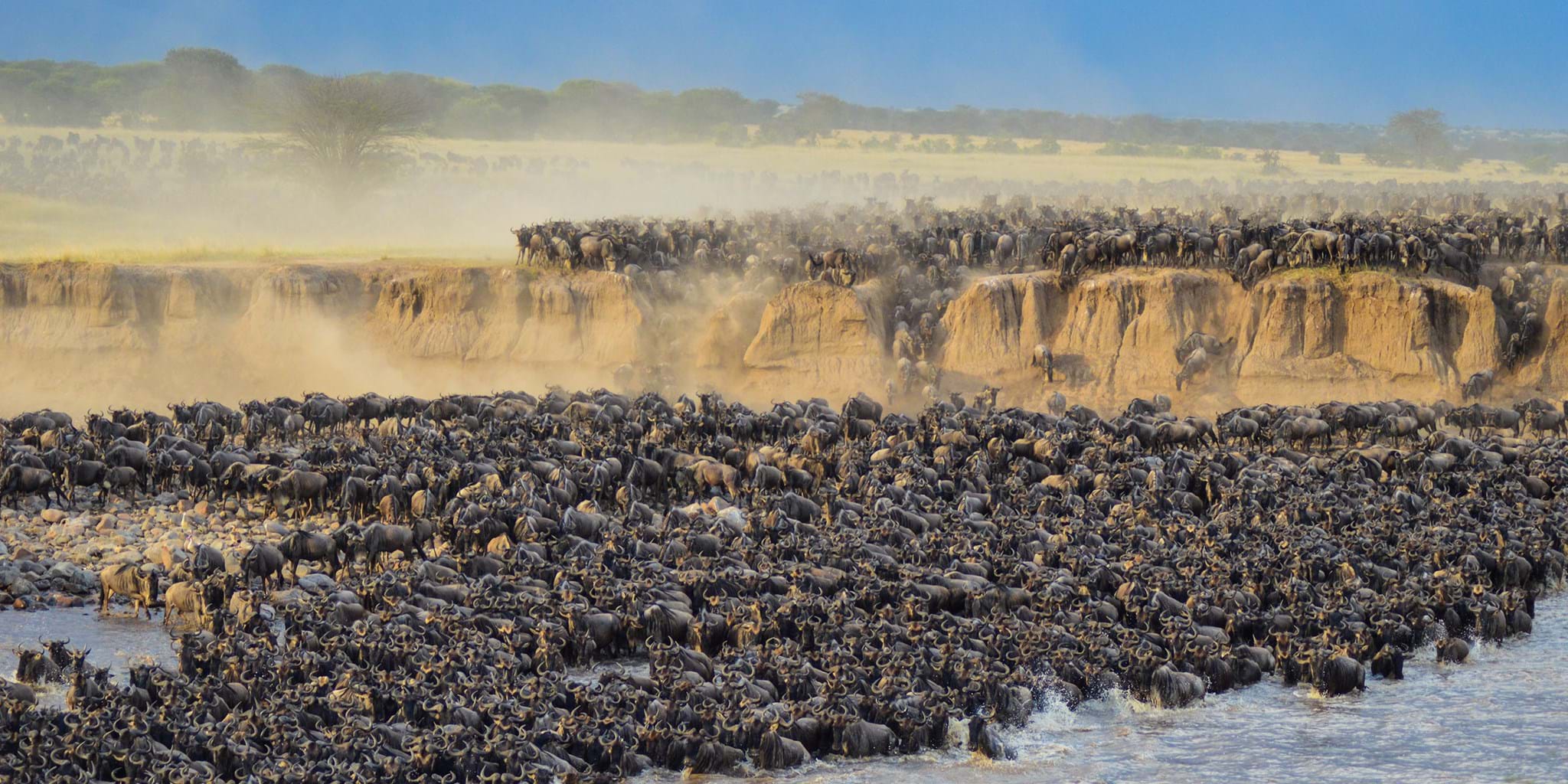 5 Days Western Corridor Safari Serengeti, Grumeti and Ngorongoro Crater