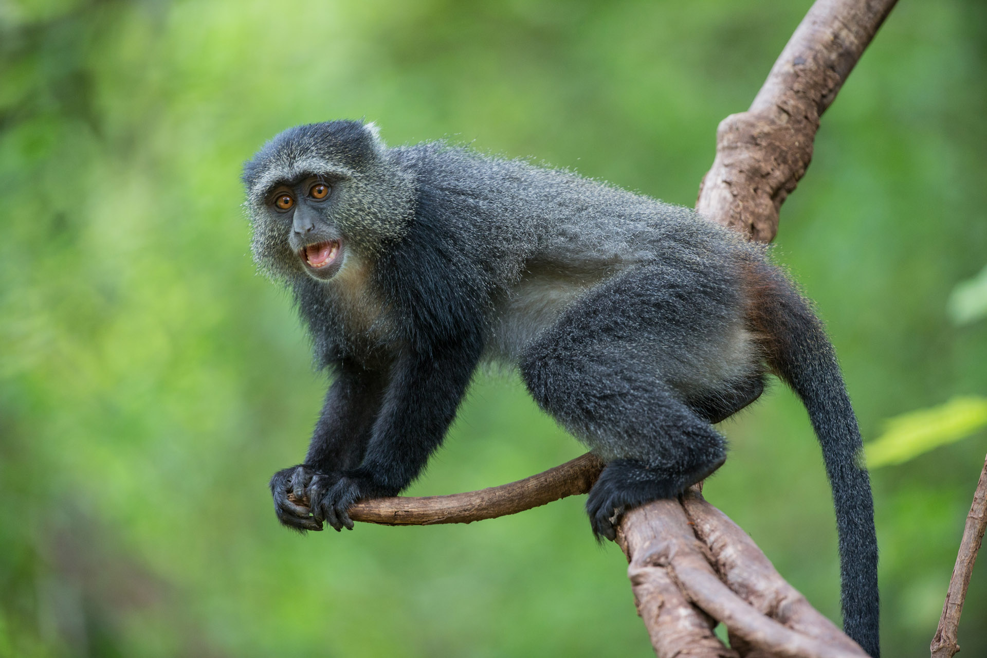 Arusha National Park