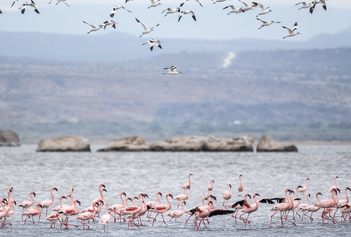 Lake Natron
