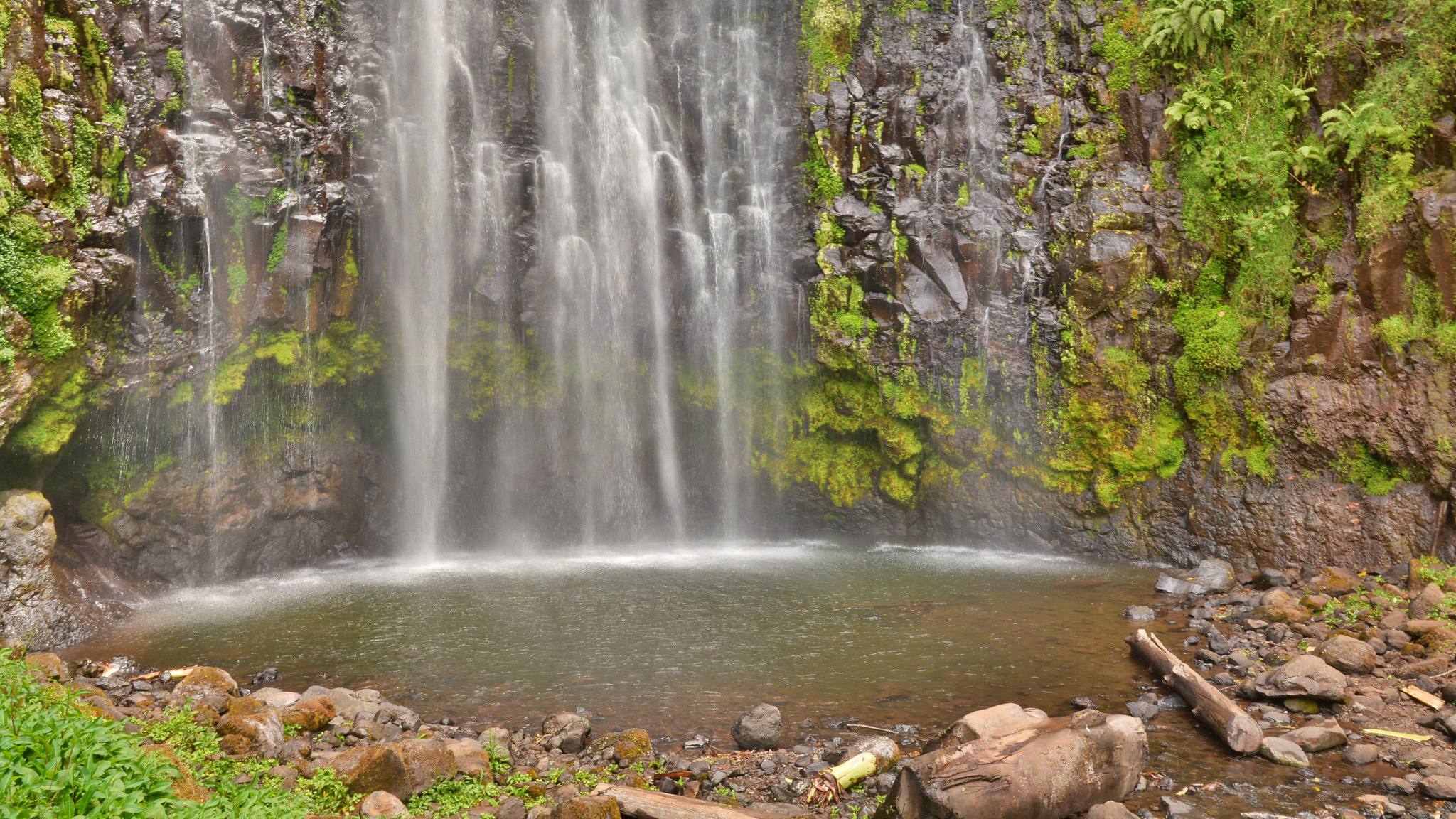 Tanzania Day Trip Materuni Waterfalls and Coffee