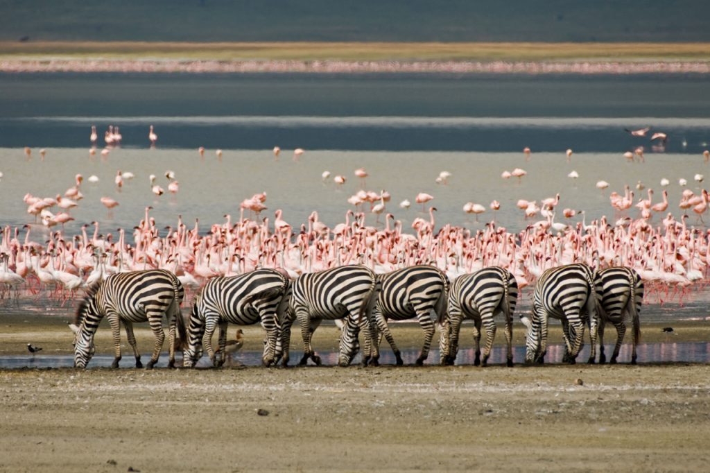 Tanzania Day Trip Ngorongoro Crater
